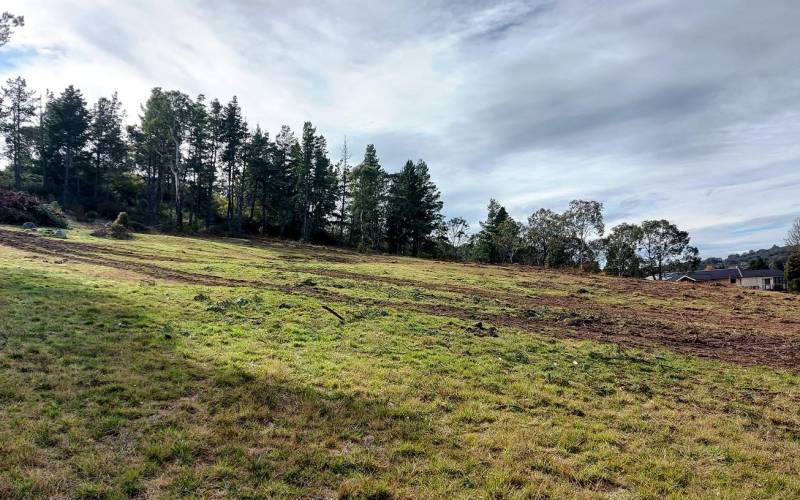 Lot 1 & 2 Queen St, URALLA, NSW 2358